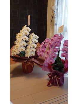 ランポ(Lampo)/個室での施術