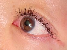 ラシク ベル(Lashiku Belle)/フラットラッシュ120