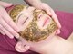 クララエステティック カシハラ(CLALA aesthetic Kashihara)の写真