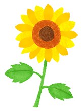 ビメンド 武蔵小山店(ViMEND) 佐藤 文恵