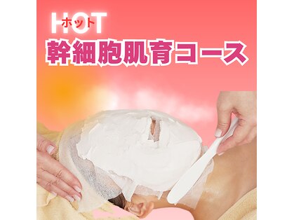 アマテ(Amate)の写真