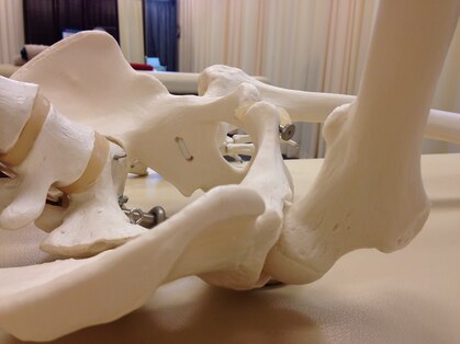 京都整体からすまおいけの写真