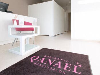 カナエル(QANAEL)/【イオン導入美肌脱毛の流れ】
