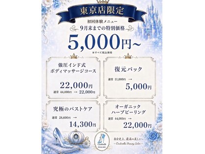 シンデレラトーキョー(Cinderella tokyo)の写真