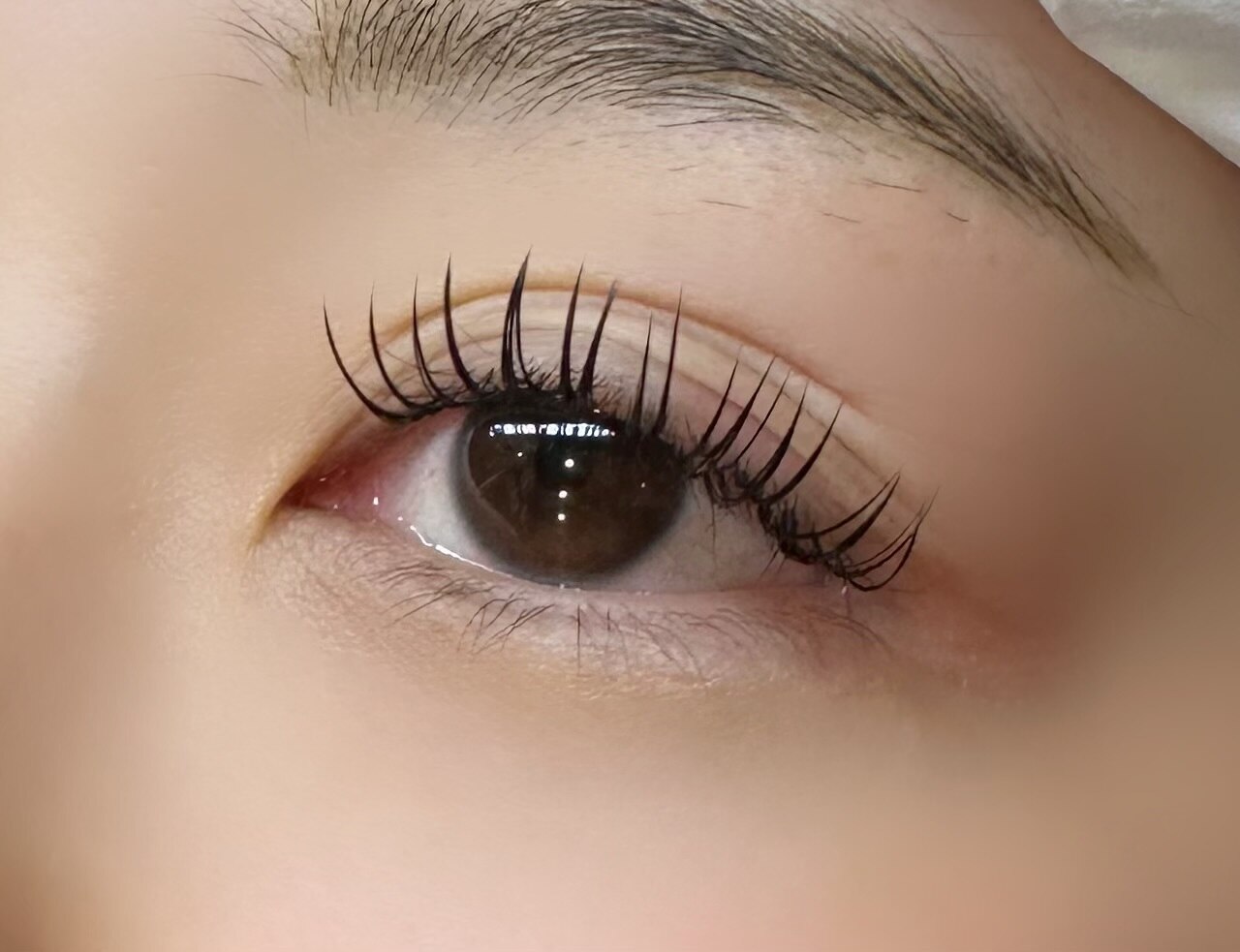 ◎500円OFF◎バインド300本◇両目100束◇\8050→\7550