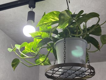 ビジュー(Bijou)/店内雰囲気です♪