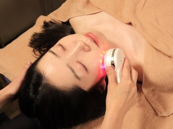 ルクソール/マルチエレクトロポレーション