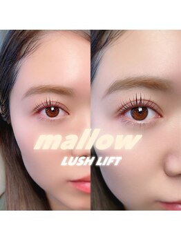 マロウアイラッシュ(mallow eyelash)/ラッシュリフト似合わせデザイン