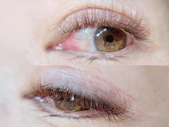 リアナ(Li'ana)/3Dカラーボリュームラッシュ