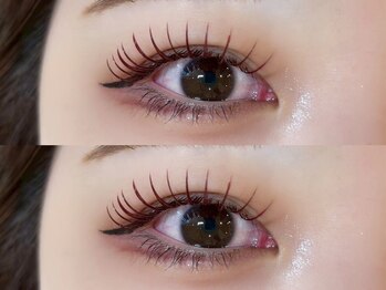 ソファー 八王子(sofa)/カラーフラットラッシュ200本