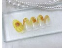 summer☆デザイン定額コース
