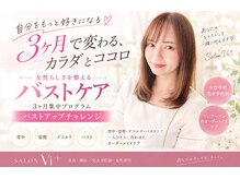 サロン ヴィプラス(SALON Vi+)