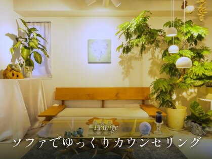カイ(KAI)の写真