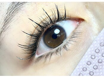 シェリー(Cheri)/網紅デザイン