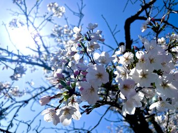 アクシア 熊本店(AXIA)/新生活スタート