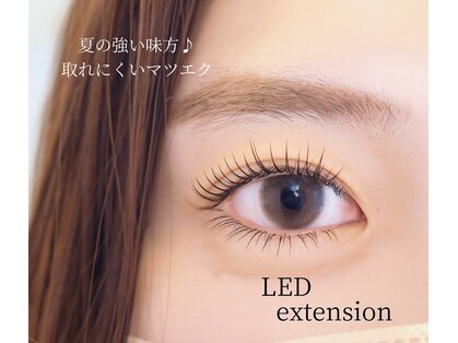 フワリ(fuwari)の写真