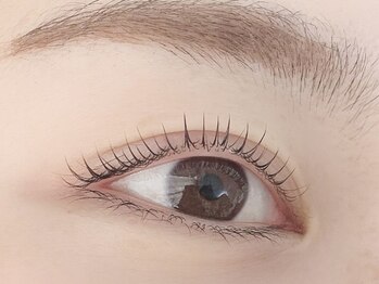 キャリコ(calico)/