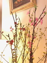 メナードフェイシャルサロン ローズロック/メナードフェイシャルサロン