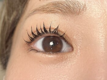 ネリネ(Nerine)/パリジェンヌラッシュリフト