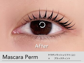 アンモス 日本橋店(Ann Moss)/マスカラパーマ/ティントパーマ