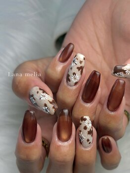 ラナメリア(Lana melia)/cow flower