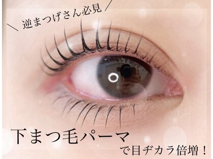セレブヒルズ 八戸店(Celeb Hill’s)の写真