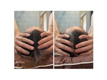 ラーナビコツ(RANA-bikotsu)/【小顔矯正】骨格エステ