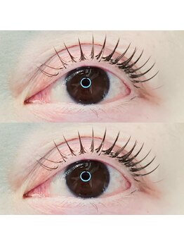 セレビアイ 日本橋店/似合わせまつげパーマ