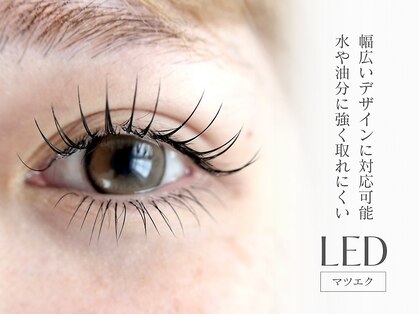 フィグ(fig)の写真