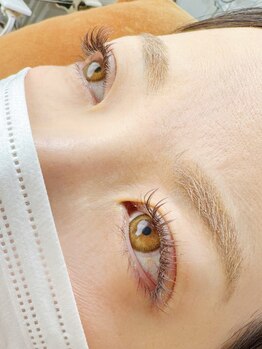 モノ(Mono)/秋カラーブラウンミックス