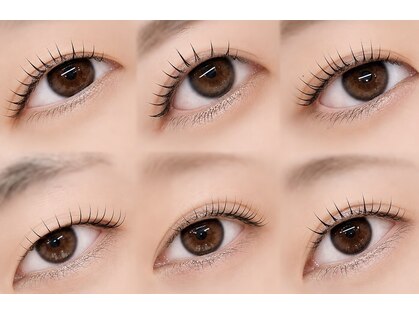 サクララッシュ(Sakura Lash)の写真