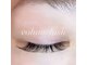 リリィココ(Lily coco.)の写真