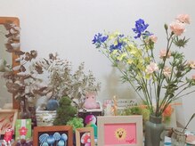 ハミングバード/今日のお花