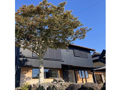 もみほぐしサロン オリーブの写真