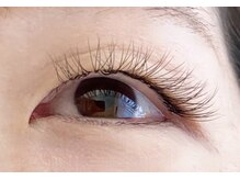 シマー(shimmer)/バインドロック80束