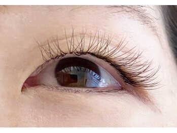 シマー(shimmer)/バインドロック80束