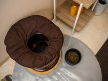 リシュ(salon rishu)の雰囲気(冷えや体質のお悩みには【よもぎ蒸し】睡眠の質や疲労回復にも◎)