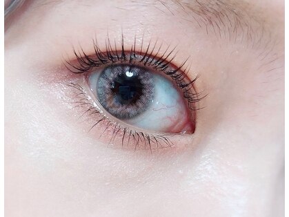 アイラッシュモーヴ(eyelash mauve)の写真