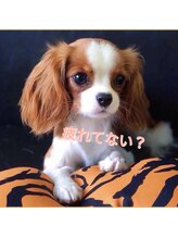 リボーン(Reboorn)/つかれてない？