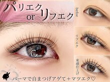 バニーラッシュ(Bunny Lash)
