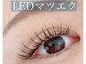 【LEDマツエク】ボリュームラッシュ500本*コーティング付き