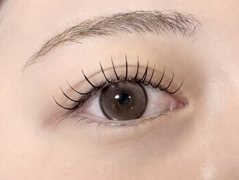 ラト(LATO)/フラットマットラッシュ100本