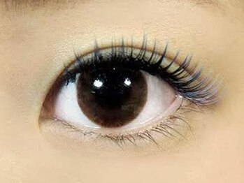 ラッシュワン 四条店(Lash One)/■まつ毛エクステ