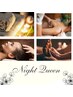 【Night Queen 】組合せ自由　220分　¥25,000