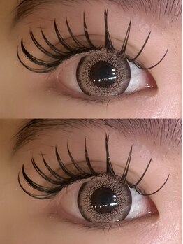 エミクレール(EMI CLAIR)の写真/フラットラッシュとダブルフラットラッシュから、自分に合ったまつげを選べる！次回予約でさらにお得に◎