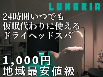 ルナ(Lunaria)の写真