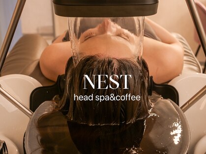 ネスト(NEST)の写真