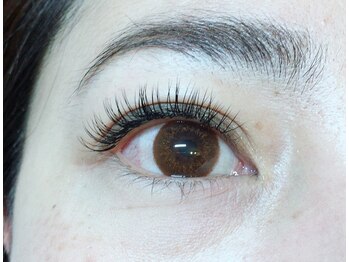 バモス(Vamos)/セーブル上つけ放題♪