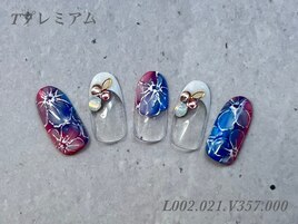 ハンド定額プレミアムコース