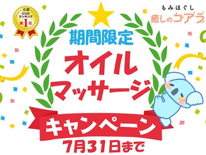 癒しのコアラの写真